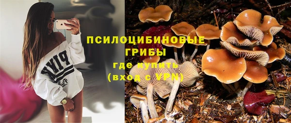 стаф Алексин