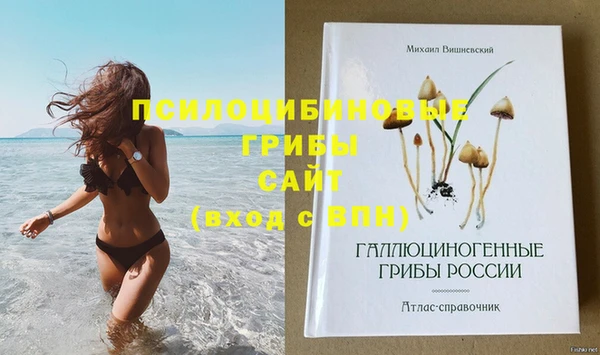 стаф Алексин