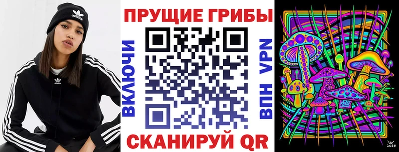 Галлюциногенные грибы GOLDEN TEACHER  Майкоп 
