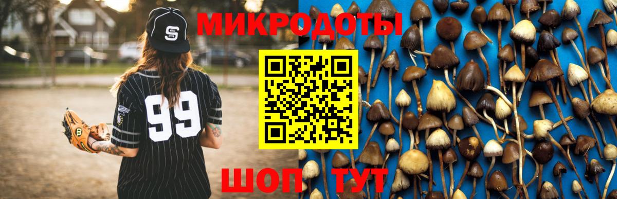 Галлюциногенные грибы Magic Shrooms Майкоп