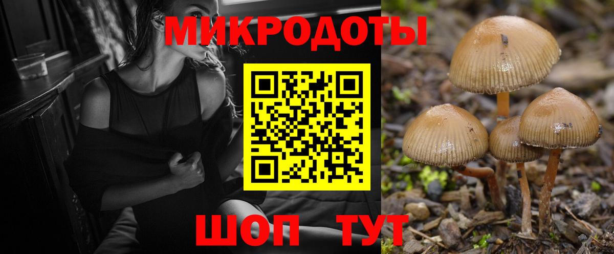 Галлюциногенные грибы Psilocybe  Вход с VPN  цены   Псилоцибиновые грибы MAGIC MUSHROOMS  Майкоп 