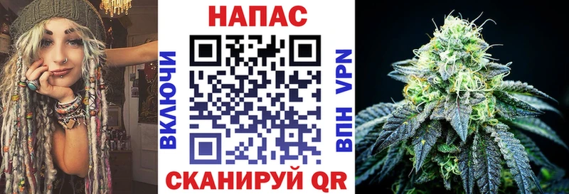 Бошки Шишки MAZAR Майкоп